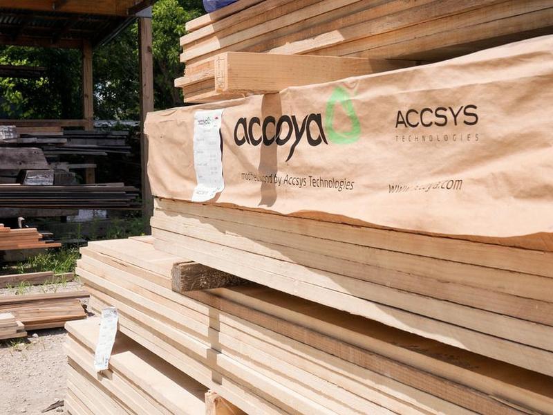 Accsys plc ve Eastman Chemical Sürdürülebilir Odun İçin Birlikte Çalışacak