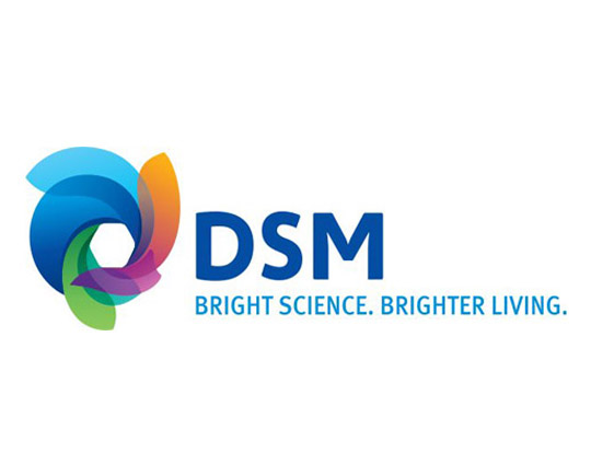 DSM yeni su bazlı kaplama reçinesini piyasaya sürdü