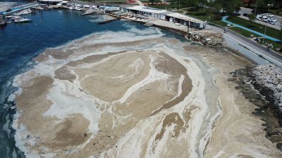 İTÜ’den Müsilaj Sorununa Yönelik 10 Çözüm Önerisi