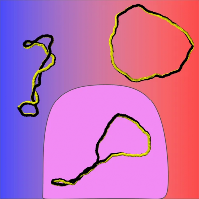 POLİMER ŞEKİLLERİNİN KONTROLÜ: ŞEKİL ADAPTİF MALZEMELERİN YENİ NESLİ