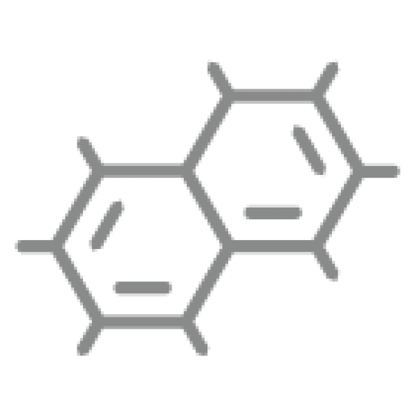 <b>Biyoteknoloji</b><br><em>Biotechnology</em>